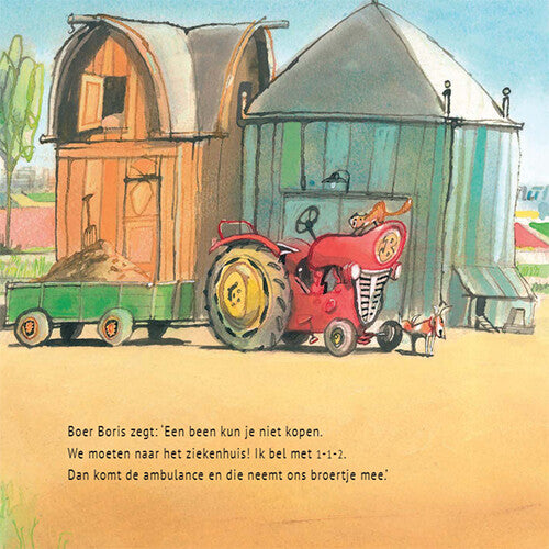 Uitgeverij gottmer boer boris en het gebroken been