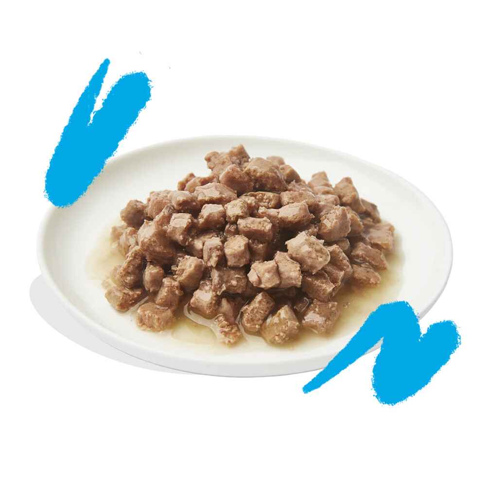 Edgard & Cooper Kattenvoer Chunks Zalm - Kip85 gr