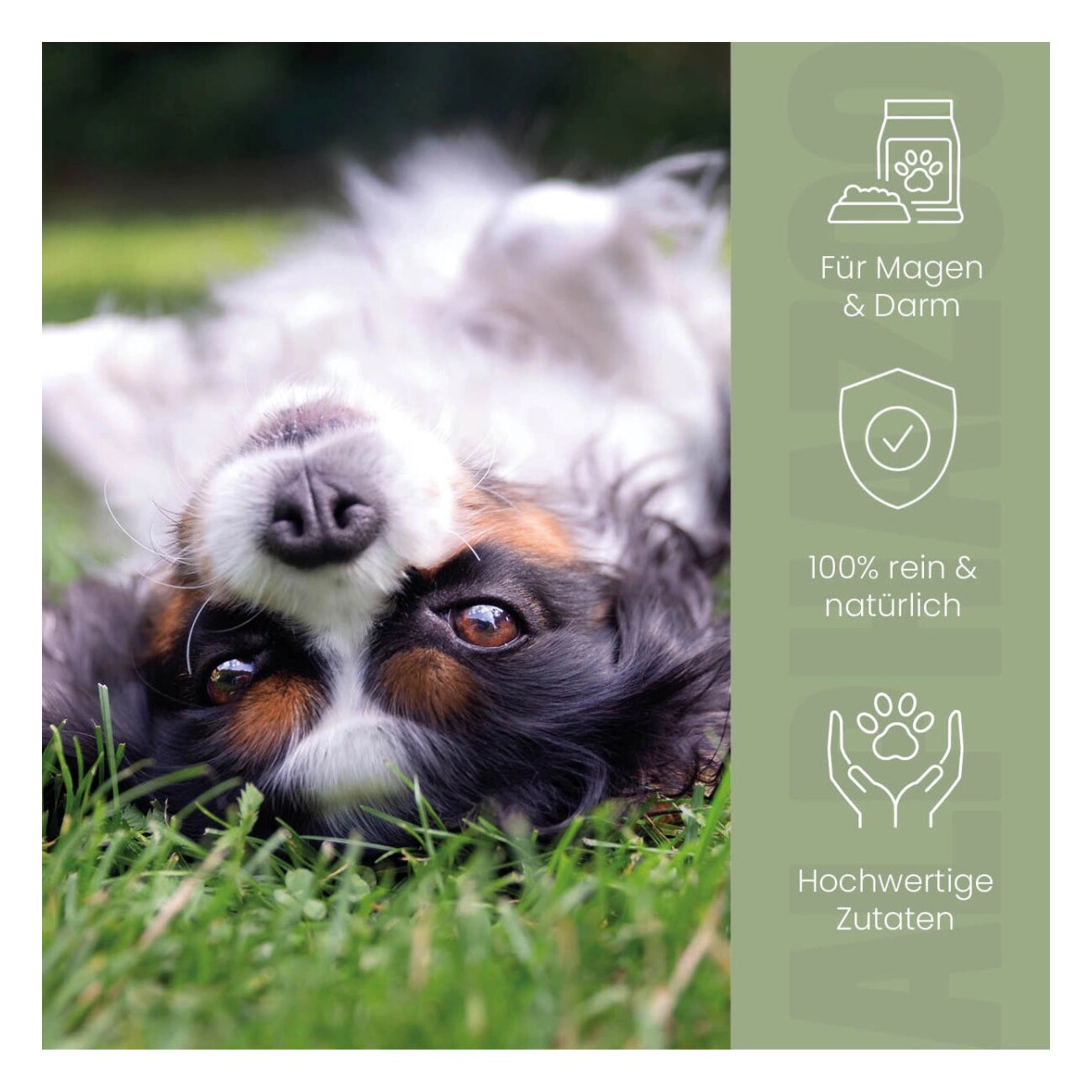 ALPHAZOO Pupsbremse Futteröl für Hunde I Magen Darm & Verdauung 250 ml