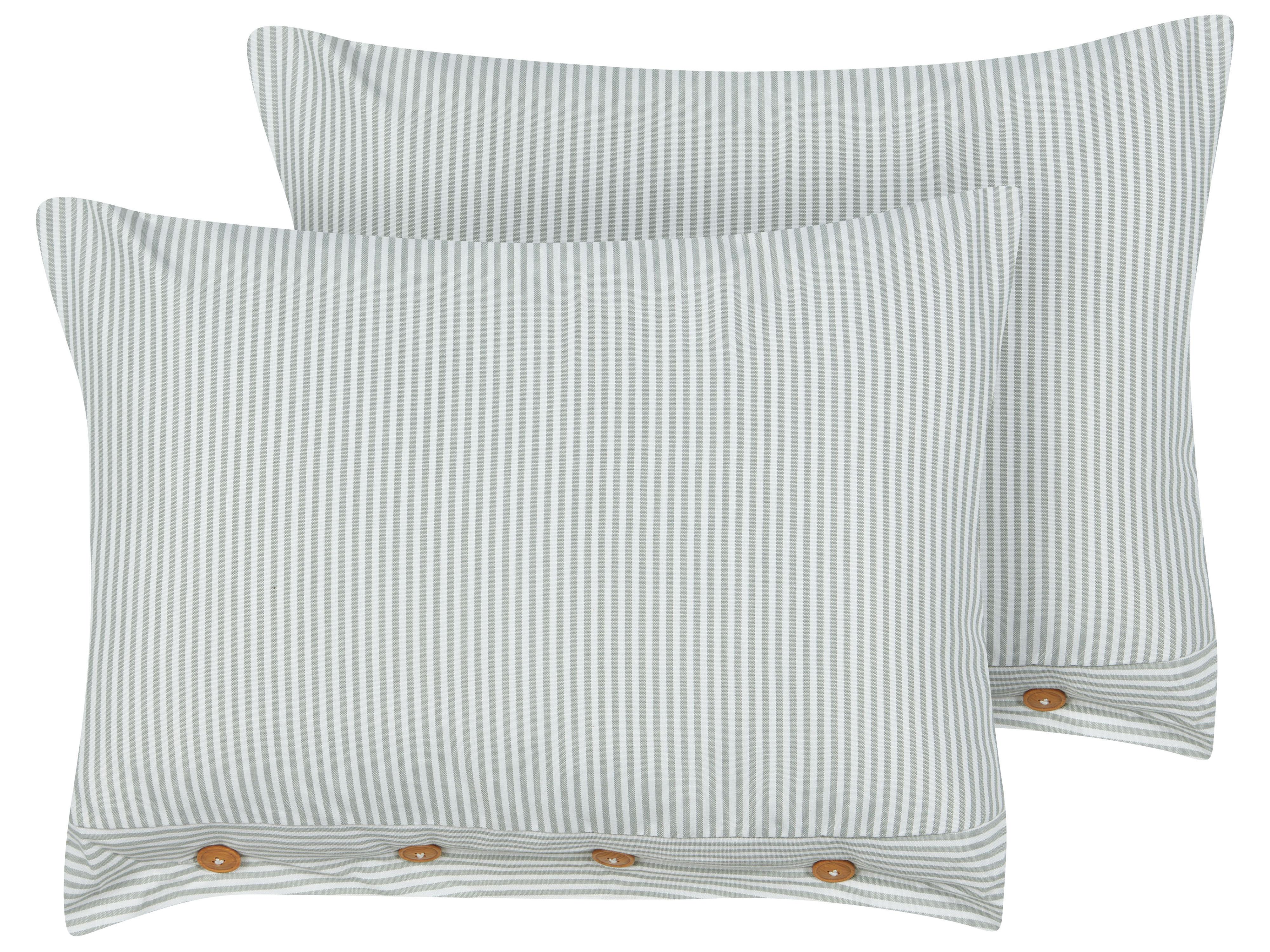Set van 2 sierkussens SEBRINE 40 x 60 cm Mintgroen gestreept