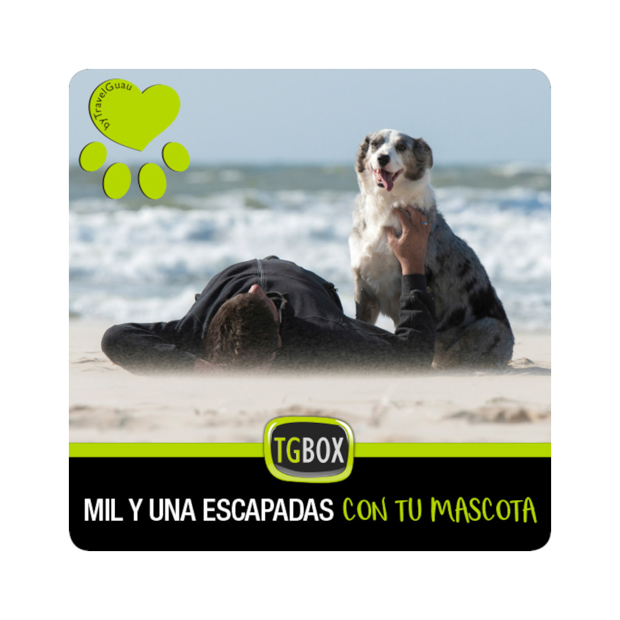 TGBOX Mil e uma escapadinhas com seu animal de estimação
