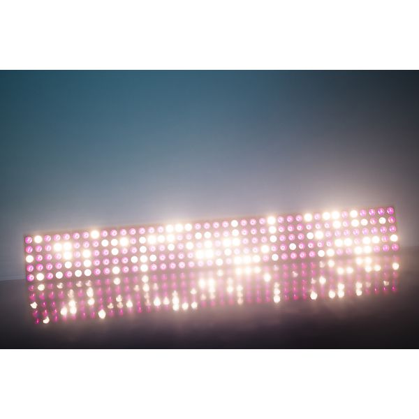 Stairville LED Matrix Blinder 5x5 RGB WW