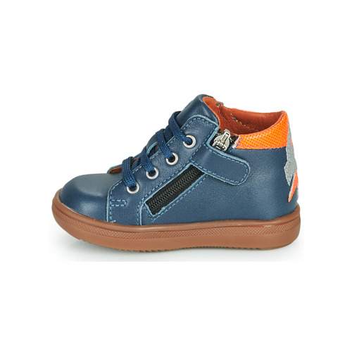 GBB - DOMINICO Azul