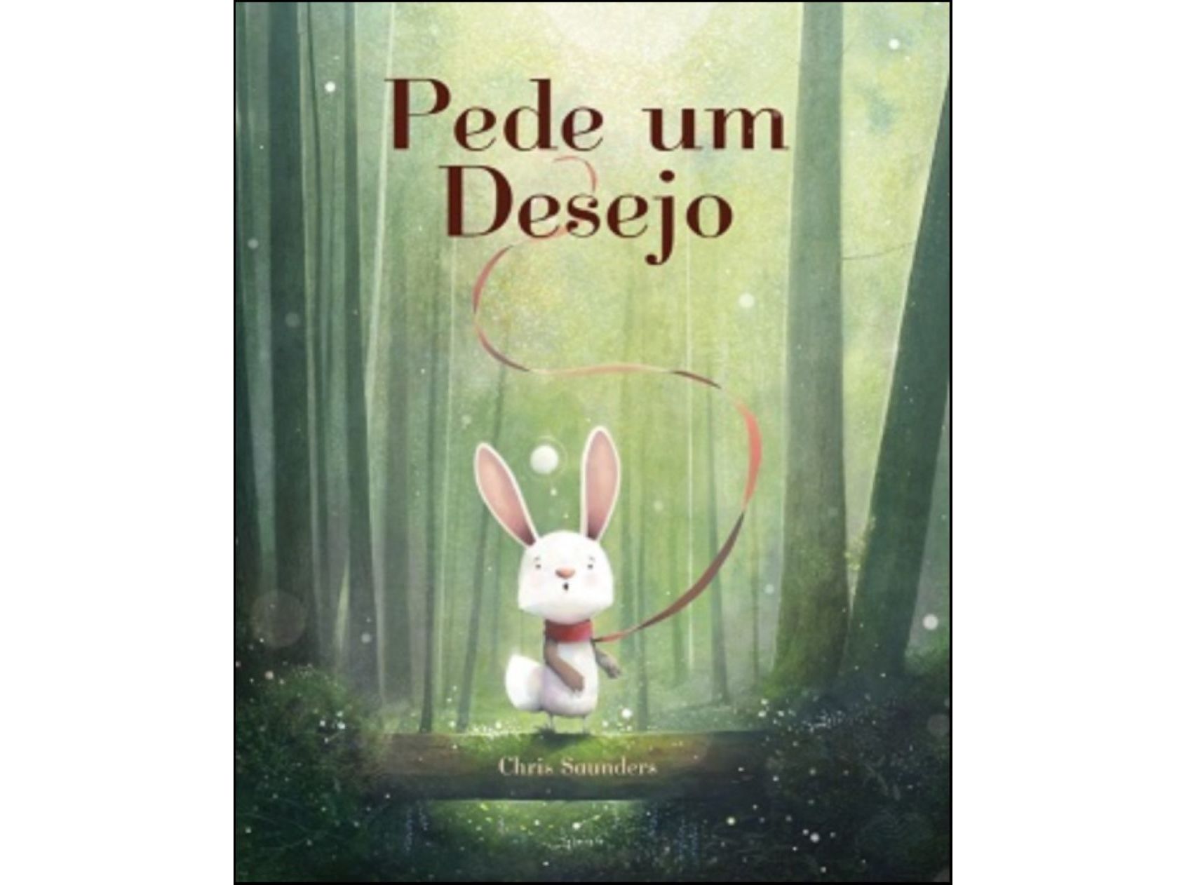LIVRO PEDE UM DESEJO