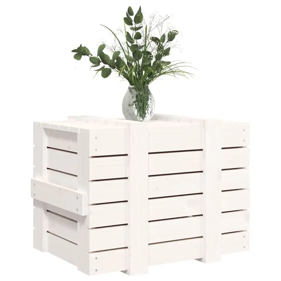 vidaXL - Opbergbox - Wit - Grenenhout - 58 x 40.5 x 42 cm
