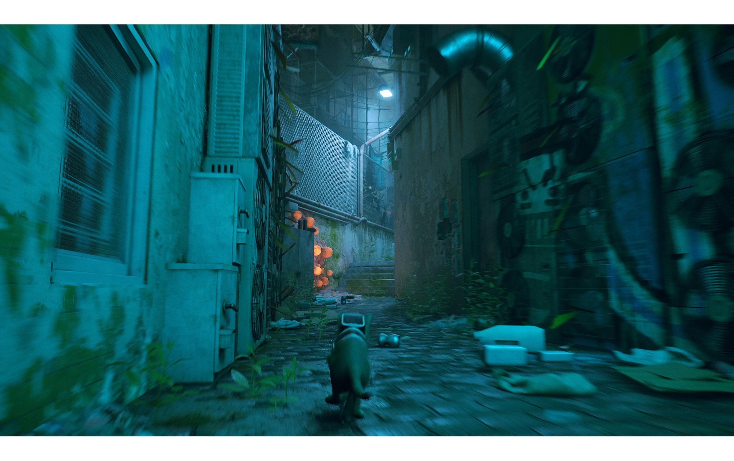 Spielesoftware »Stray,« PlayStation 4