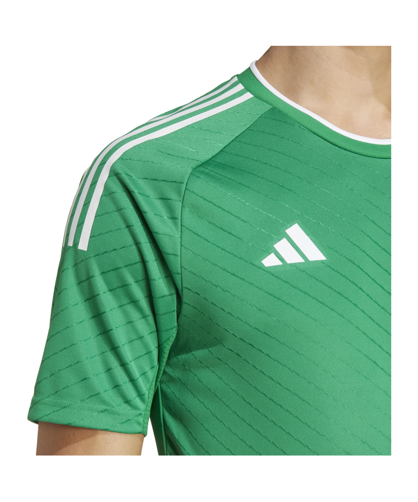 adidas Campeon 23 Trikot Grün