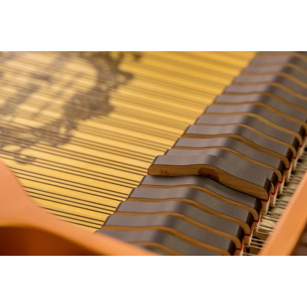 Yamaha C 2 X PE