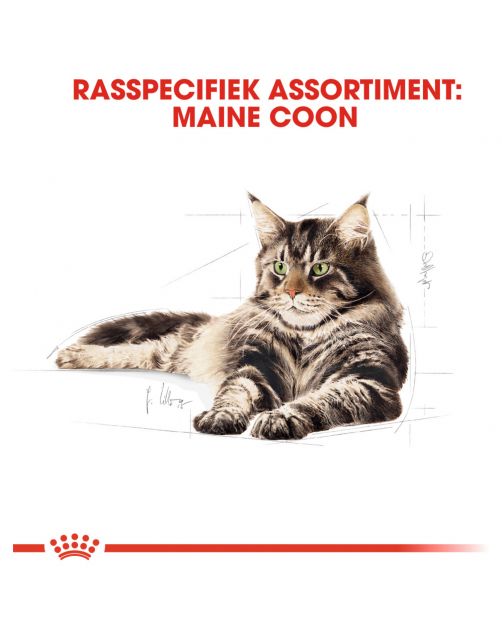 Royal Canin Maine Coon Adult Natvoer - Kattenvoer - 85 g