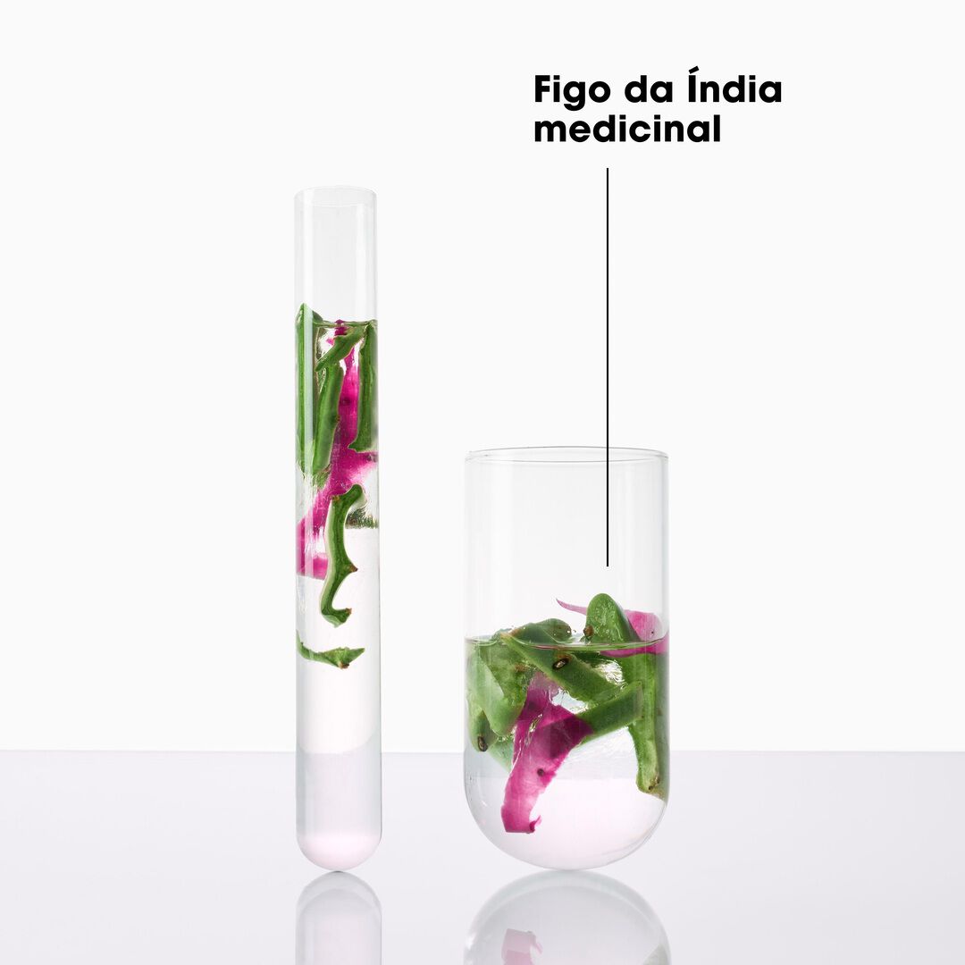 KLORANE  Máscara Figo da Índia hidrata 72h Cabelo Baço - 250ml