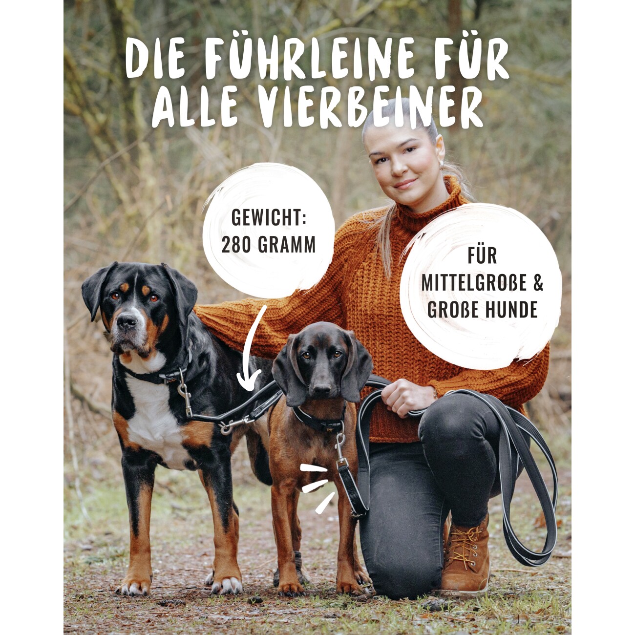 Rudelkönig Hundeleine - Führleine Paola schwarz/ silber