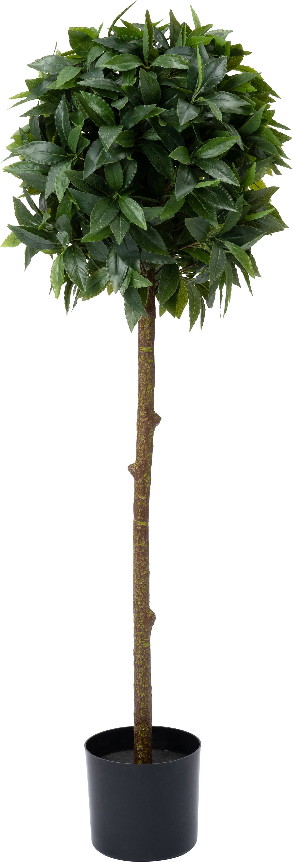 Intratuin kunstplant Laurier40 x 40 x 120 cm