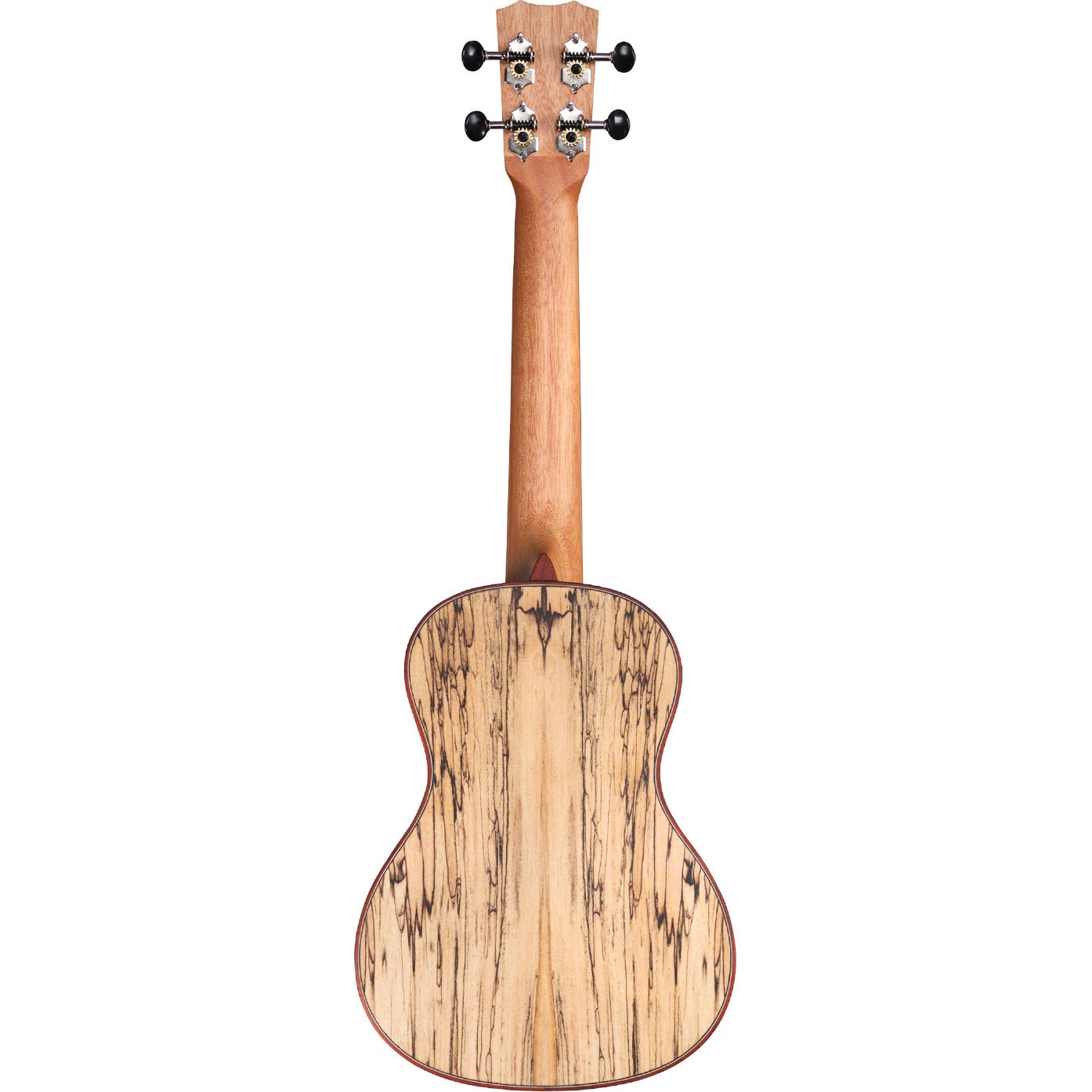 Cordoba 24C concert ukelele met sparrenhouten top