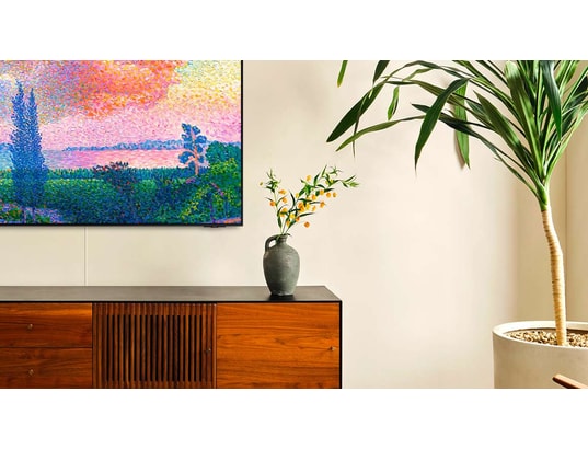 SAMSUNG - Câble optique VG-SOCC05/XC