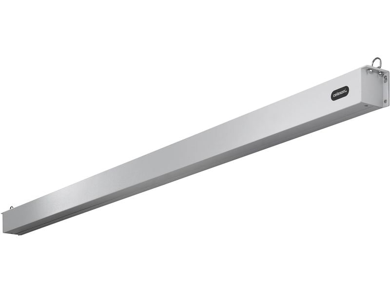 Celexon Motorleinwand Pro Plus 300x187 cm 16:10 Für Tagungs- und Konferenzräumen und Heimkinoanwendungen