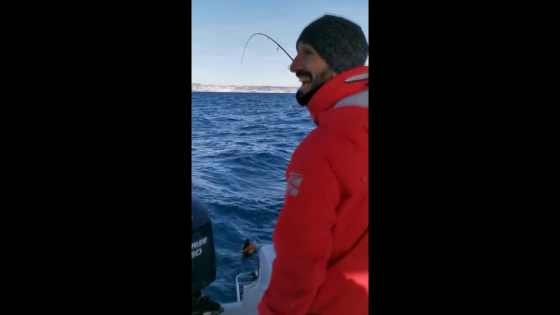 Blank Snapper Beast 84VS 2.13m verti 30-130gr Tenya