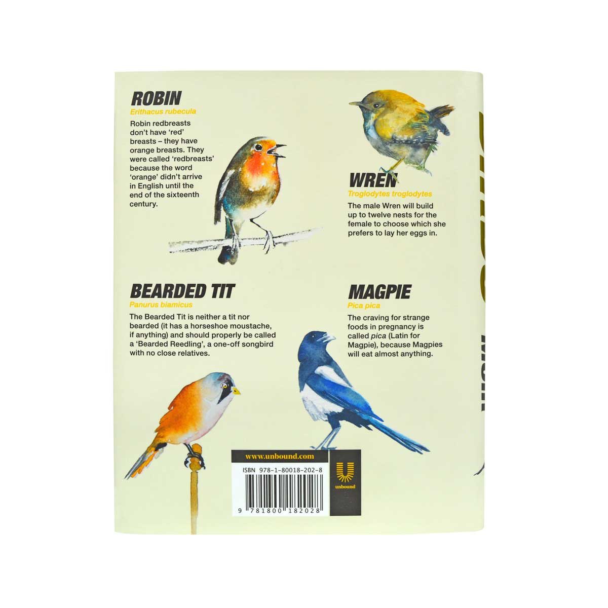 Birds (Hardback)