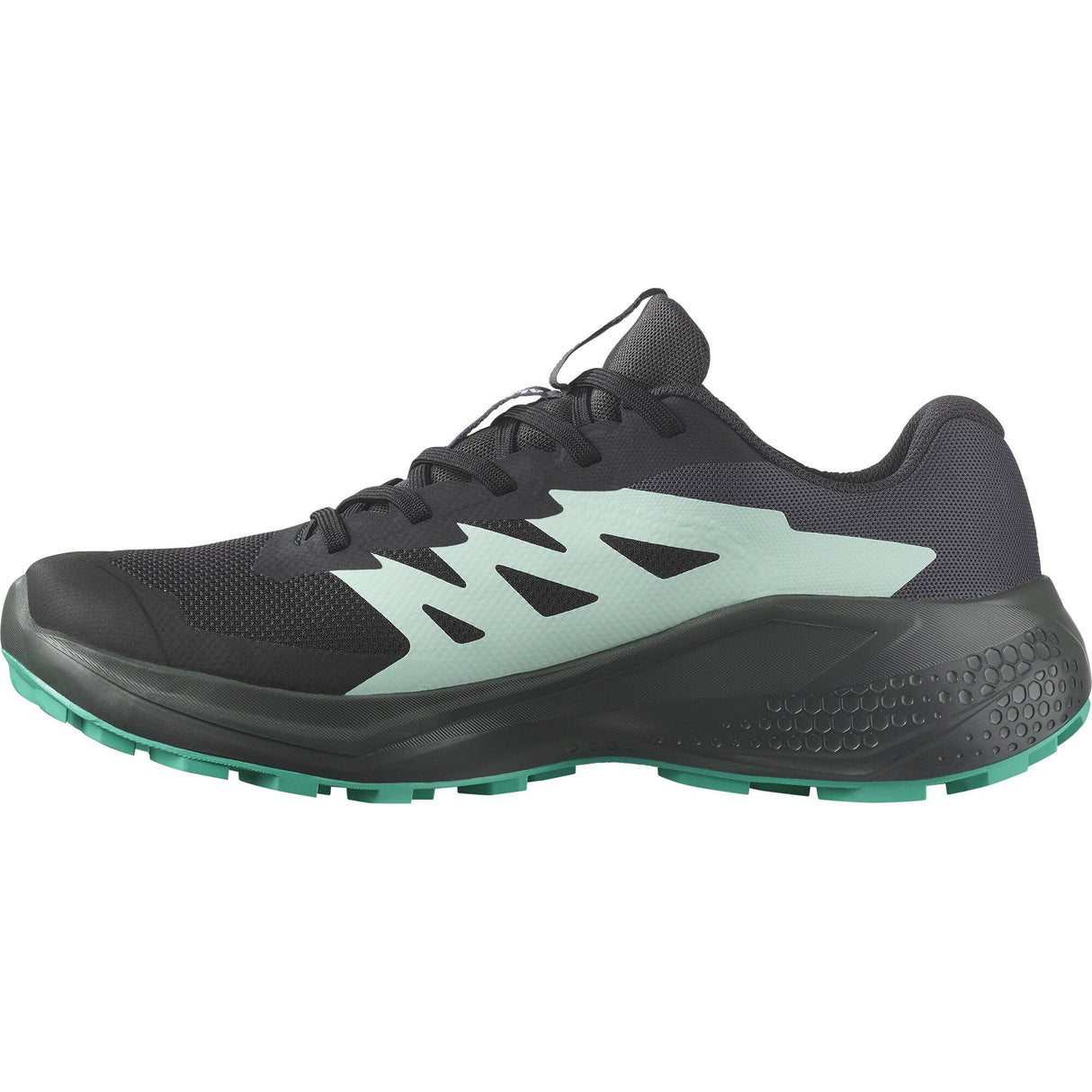 Salomon<br>Alphaglide GTX W