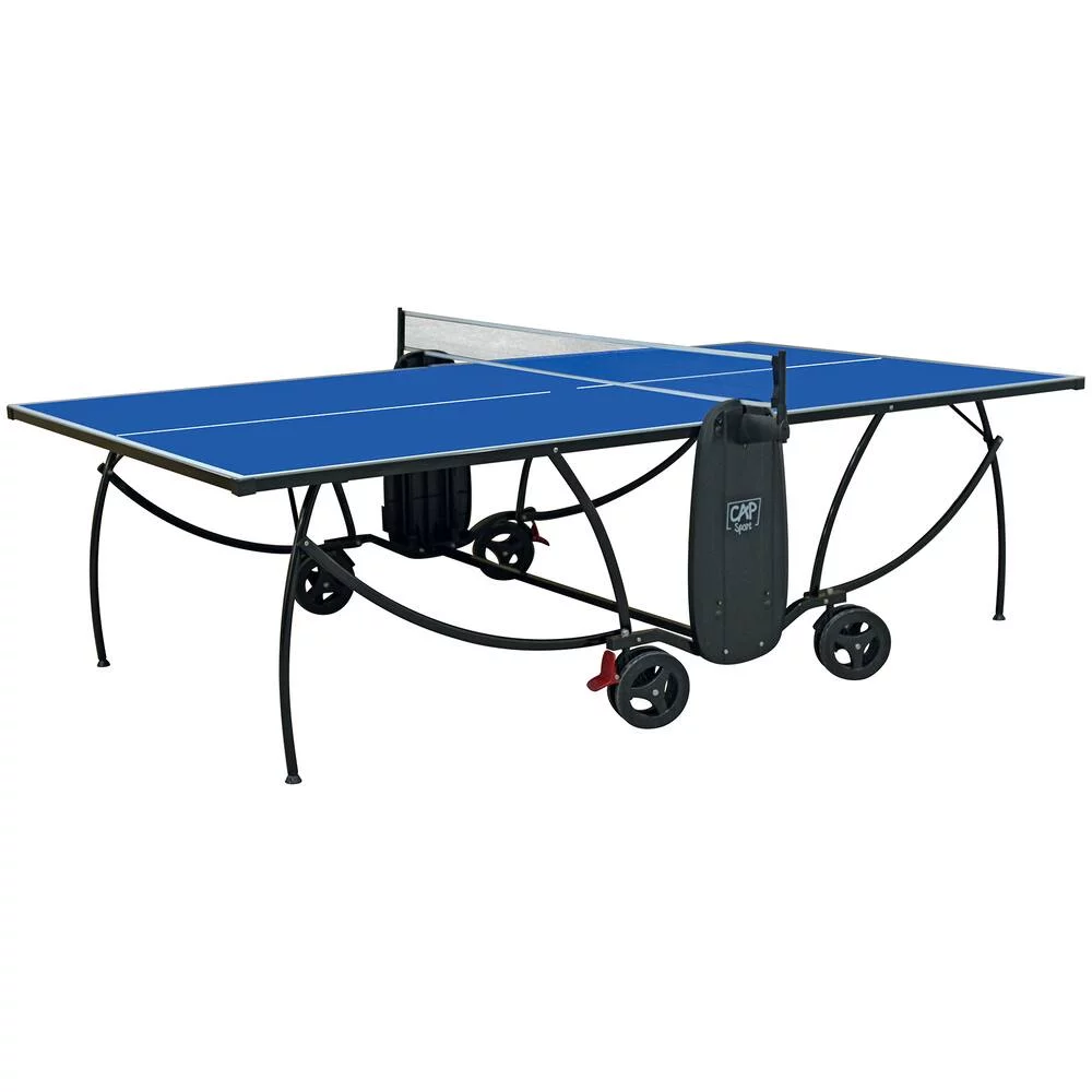 TABLE DE PING-PONG