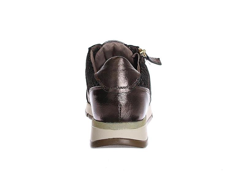 DL Sport 6721 Brons