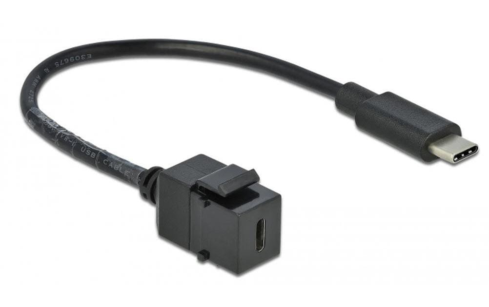 Keystone-Modul USB3.0 USB-C – USB-C, 25cm SchwarzDelock Keystone Modul USB 3.0 C Buchse > USB 3.0 C Stecker mit Kabel