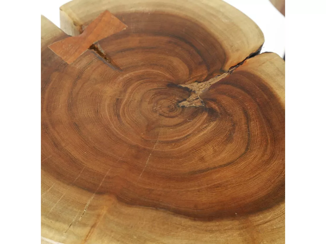 Table d'appoint tronc d'arbre acacia CANADA