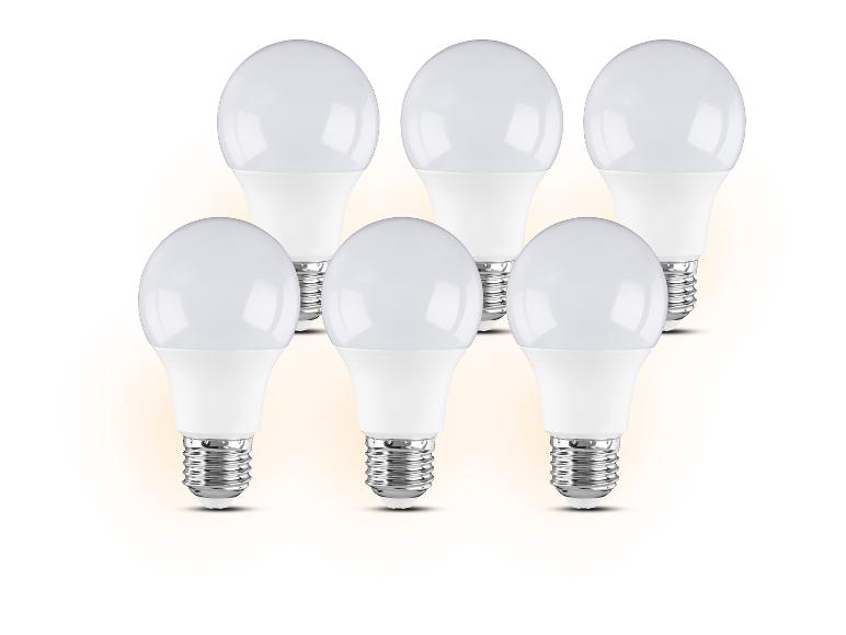 6 LED-lampen