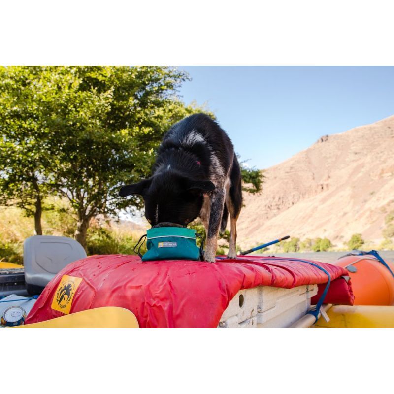 Quencher Cinch Top - Gamelle pour chien