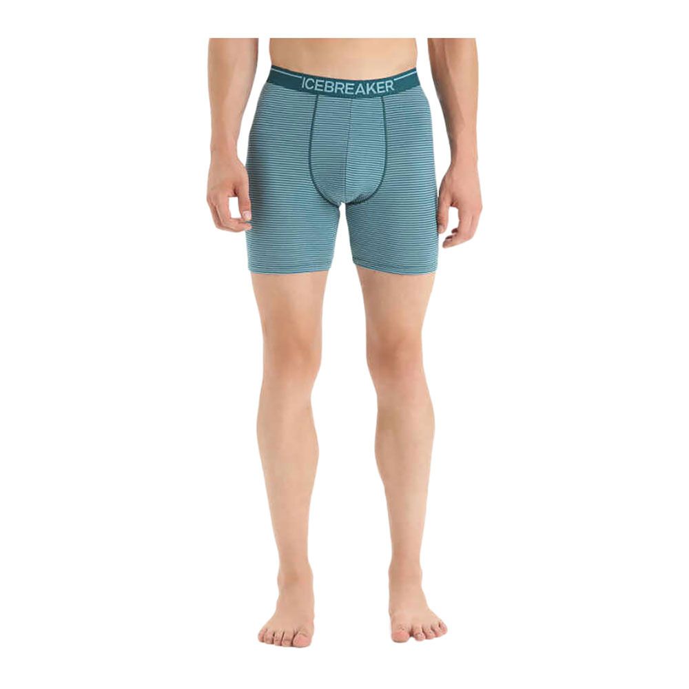Icebreaker ANATOMICA LONG - Boxer Homme grnglr/astblu/s