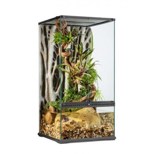 Terrário Paludarium para répteis cor Transparente