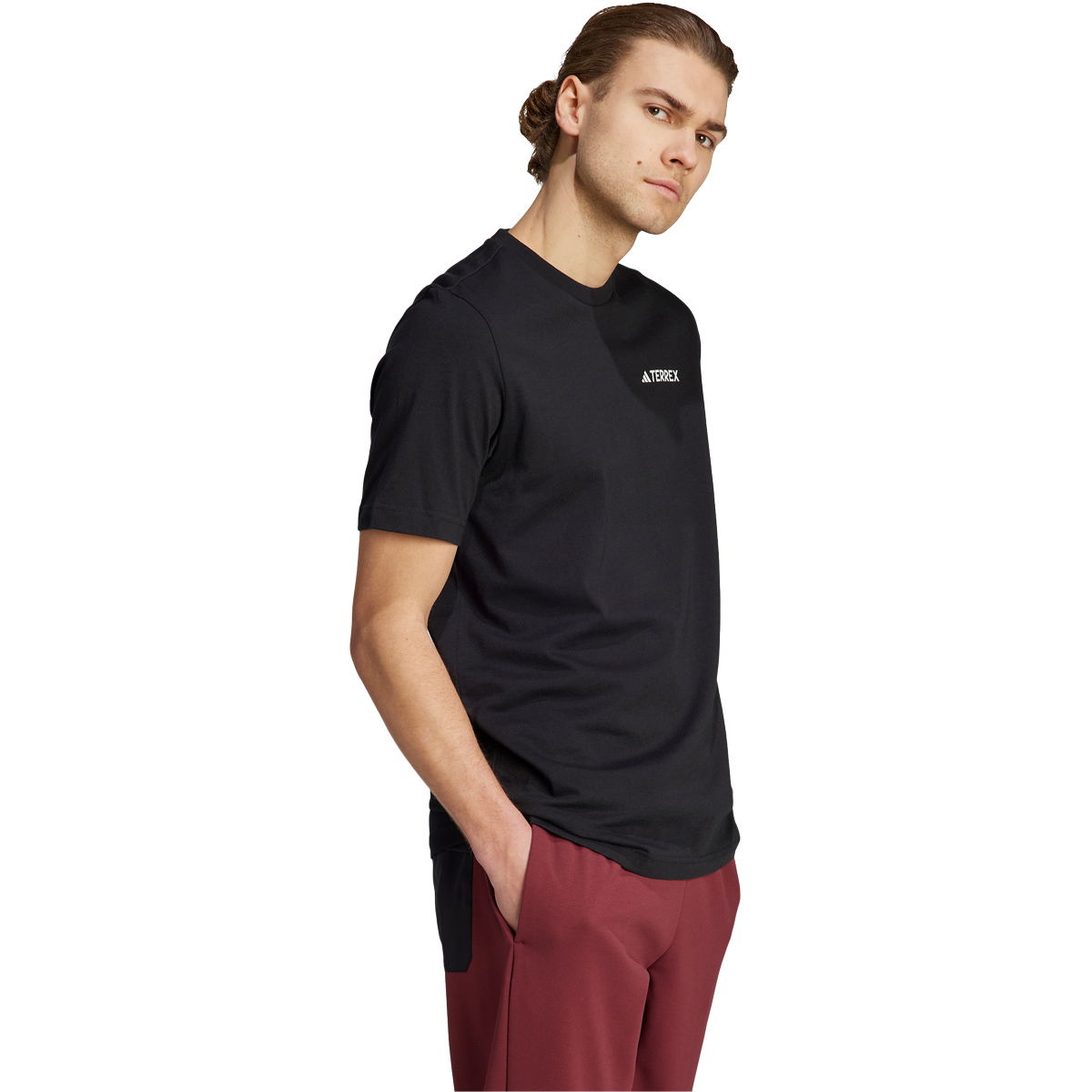 adidas Terrex Graphic Mountain 2.0 T-shirt Herre