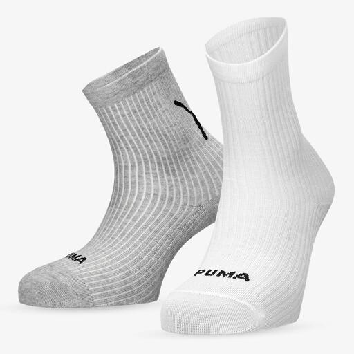 Gato Puma