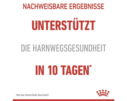 Droog kattenvoer, ROYAL CANIN FCN Urinary Care 10 kg