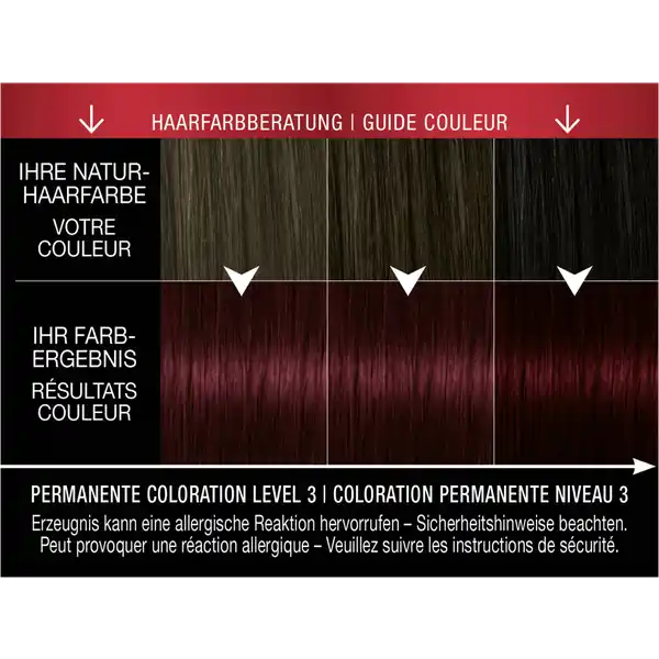 Professional Performance permanente Coloration 4_22 Leuchtendes Rot