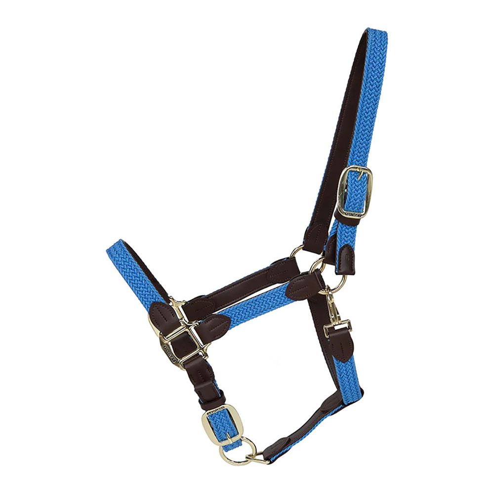 Kentucky NYLON TRESSÉ - Licol bleu clair