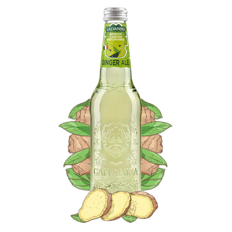Ginger Ale bio Galvanina