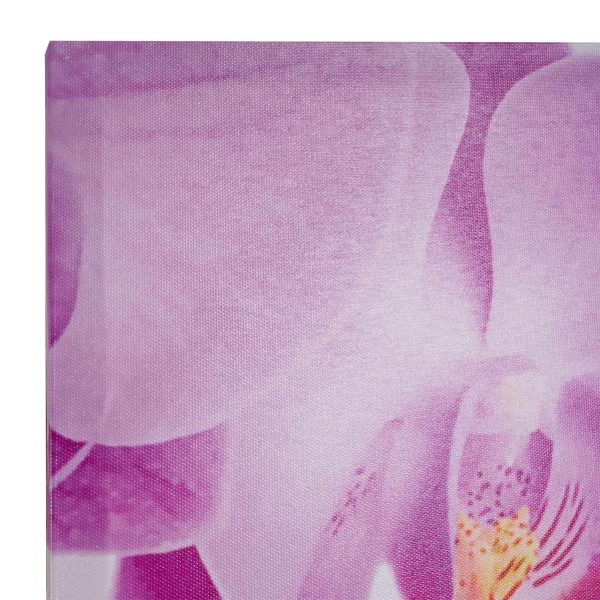Leinwandbild H375, Wandbild Keilrahmenbild Kunstdruck, 7-teilig 140x50cm ~ Blumen