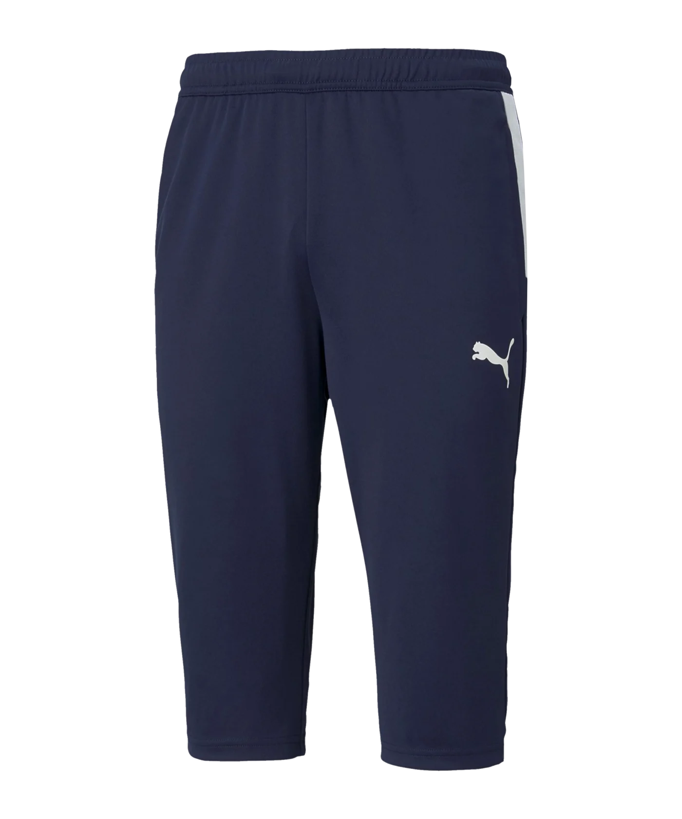PUMA teamLIGA 34 Traingshose Blau F06