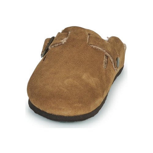 Plakton - BLOGG - Marron