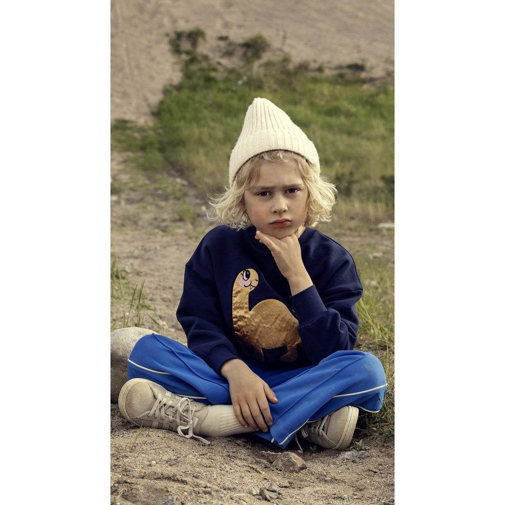 Køb Mini Rodini Blue Dino Application Sweatshirt