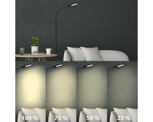LED vloerlamp CCT 600 lm warm wit-daglichtwit H 128 cm met touchdimmer zwart