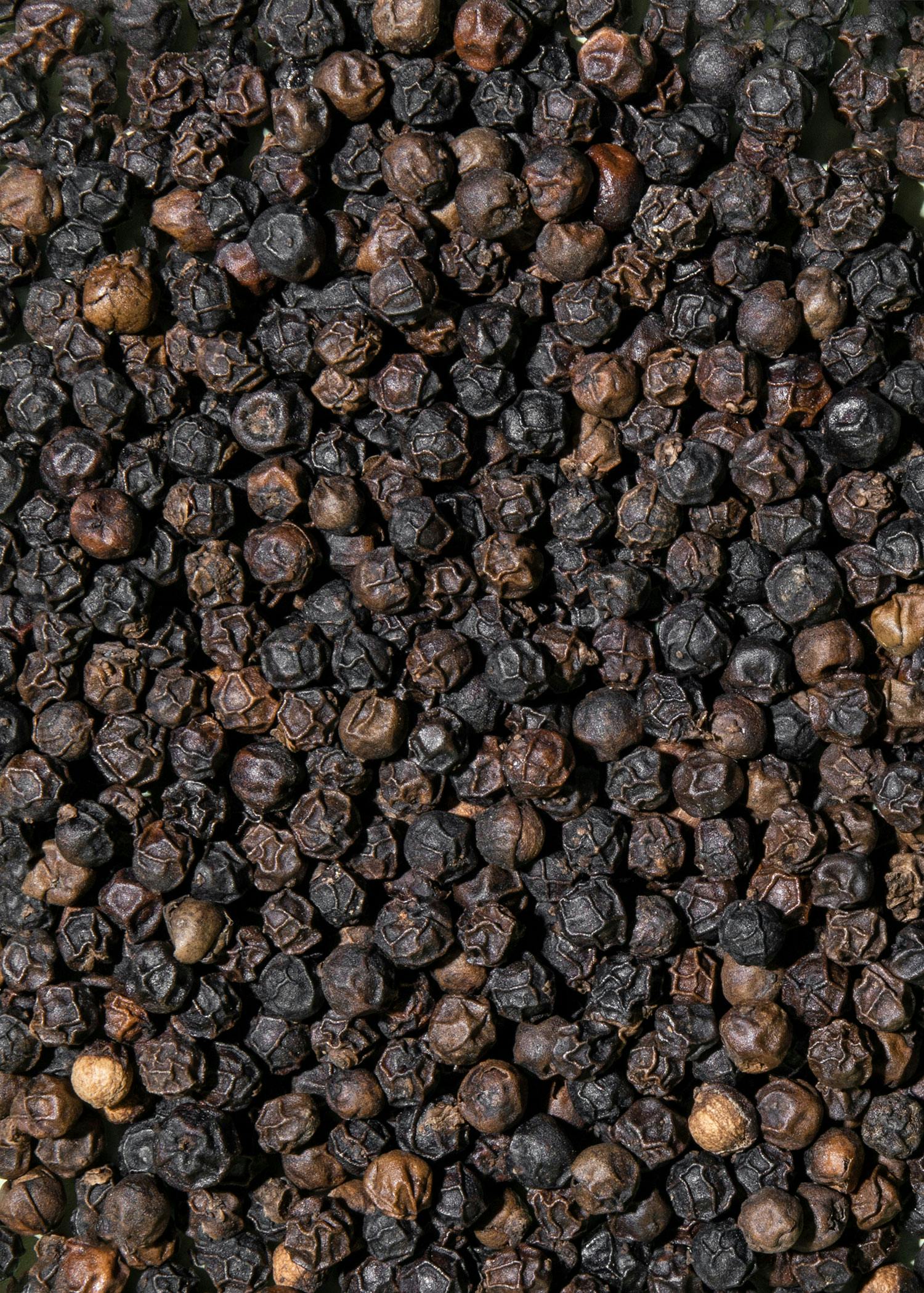 Ganze schwarze Bio Pfefferkörner 1 kg