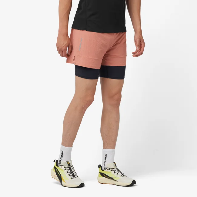SENSE AERO 2IN1  Shorts Herren