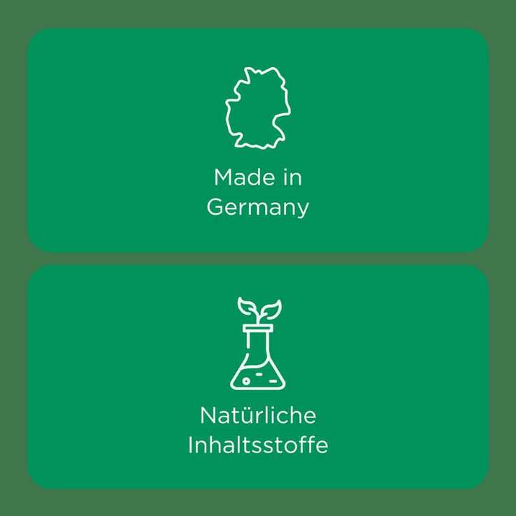 Zeel comp.N Tabletten, 250 St