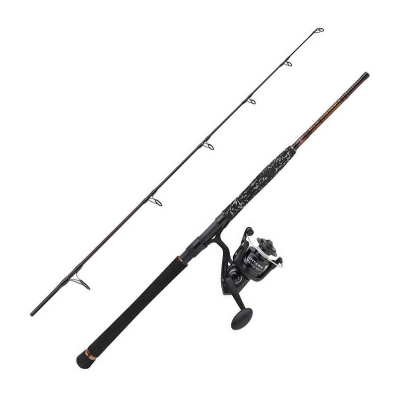 Ensemble Penn Legion Cat Bronze Belly Pump Combo