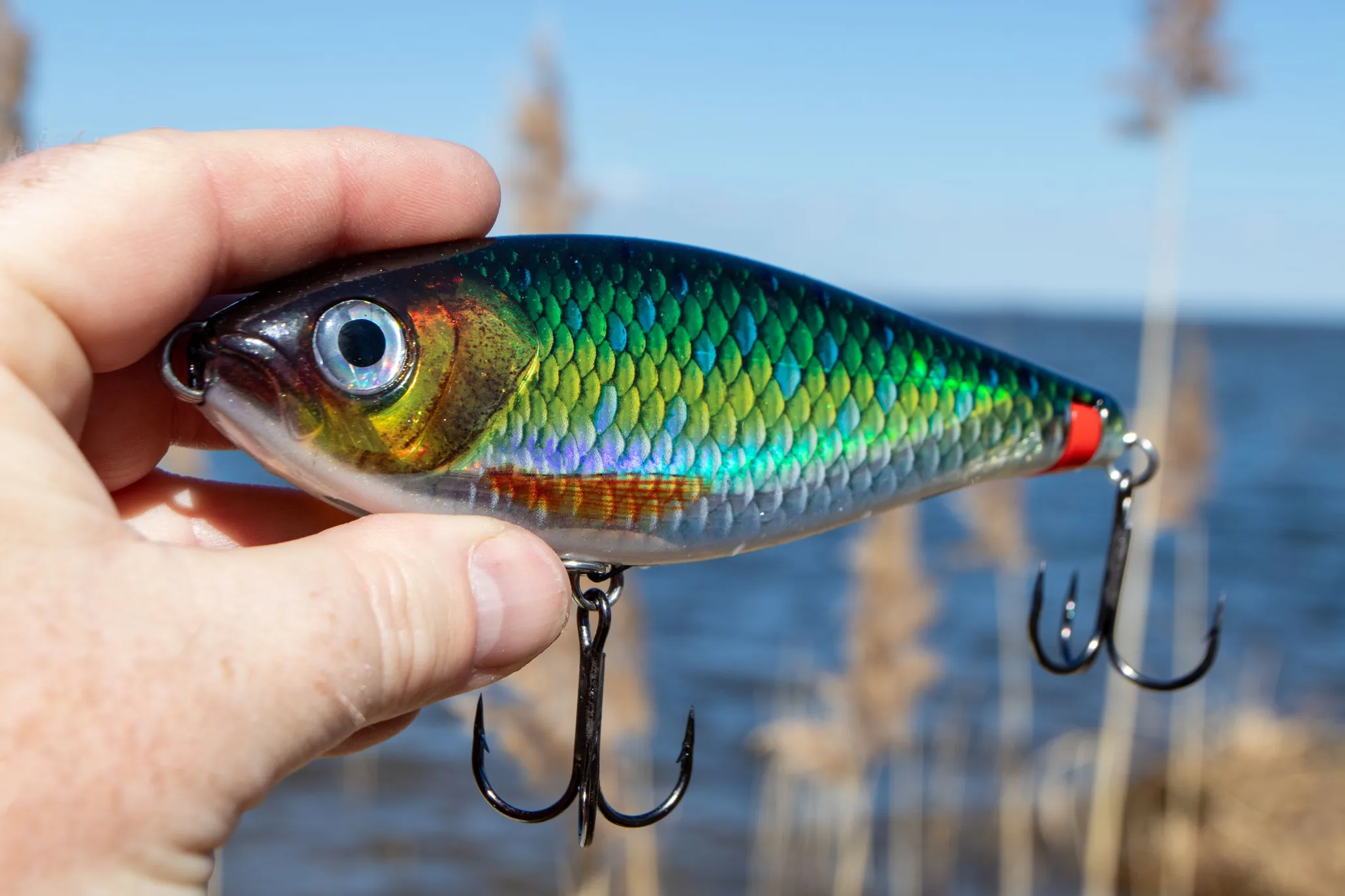 Rapala X-Rap Haku Flm