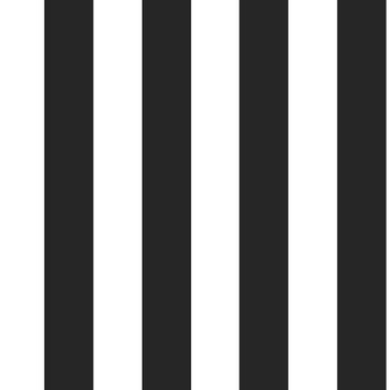 Vliesbehang Strepen zwart-wit 100099