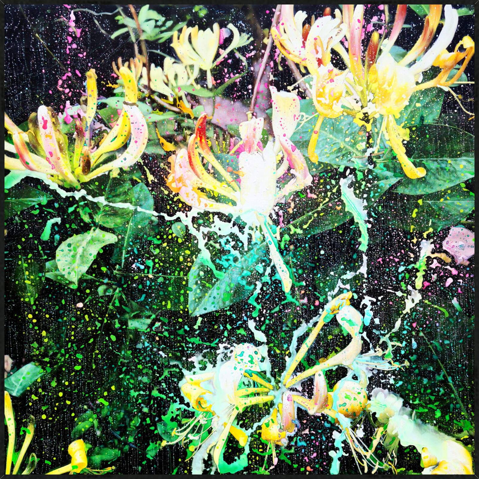 Lonicera Caprifolium 03 by An Doan Nguyen - Limited Edition. Edition of: 150. Signed.