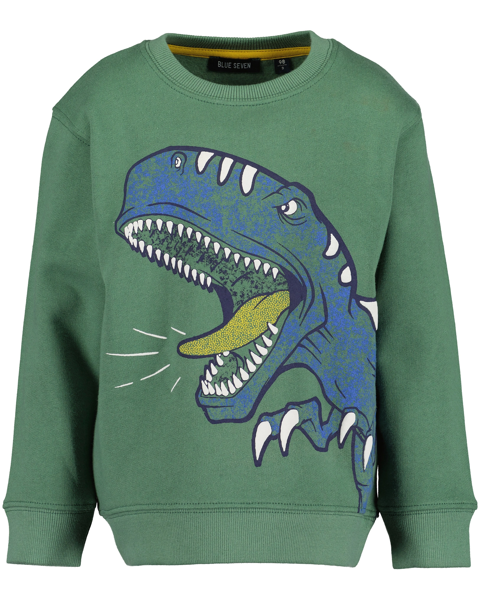 Sweatshirt BIG DINO in dunkelgrün