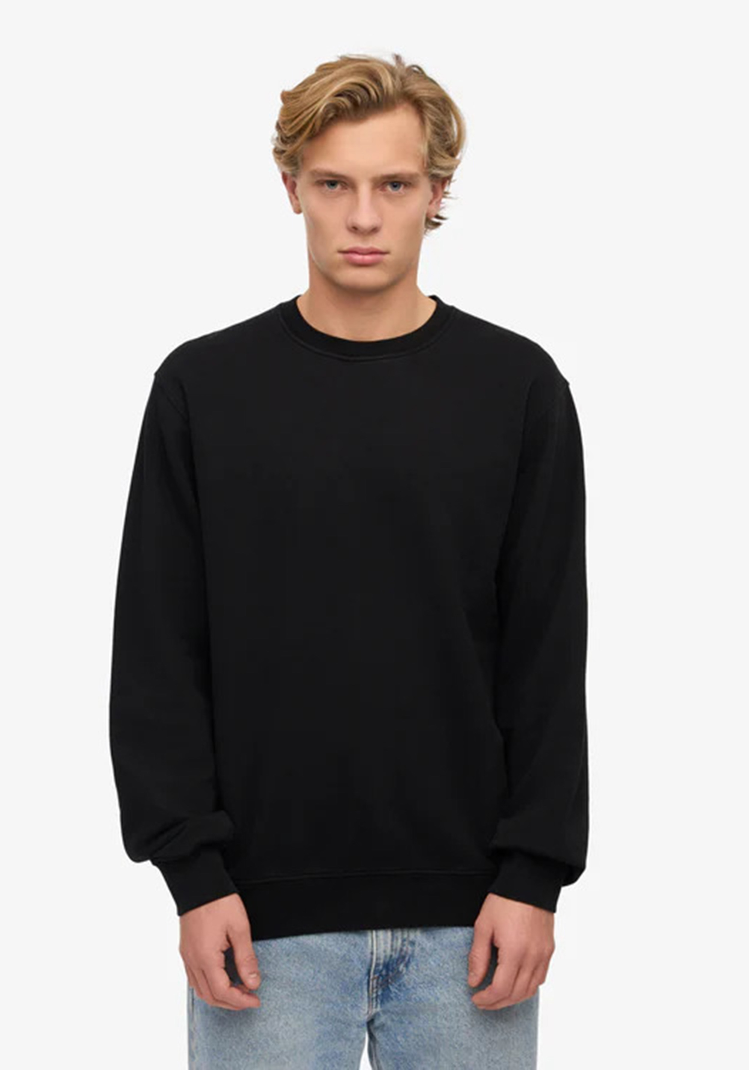 Colorful Standard Herren-Sweatshirt Purple Jade